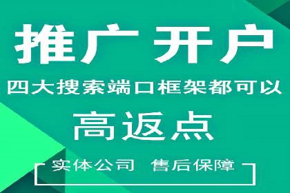 某某SEM服务公司如何帮助企业实现ROI最大化