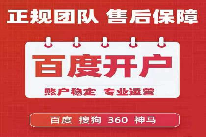 顶级SEM服务公司案例解析